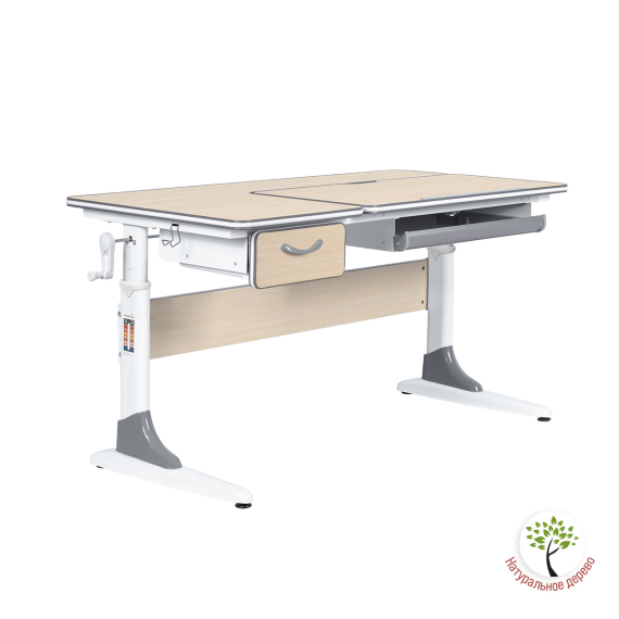 Парта Anatomica Study-120 клен/серый